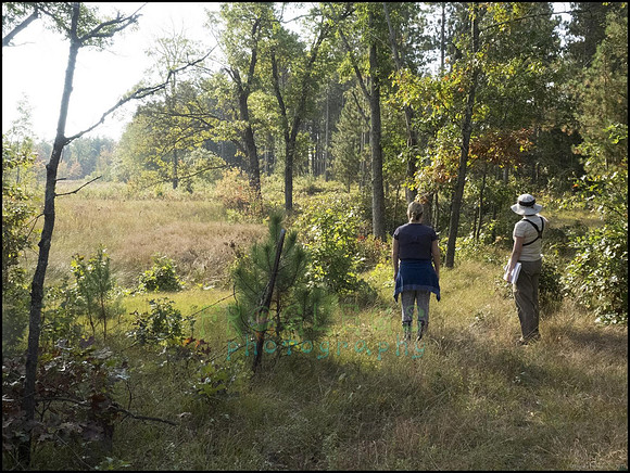 P9220155A_web