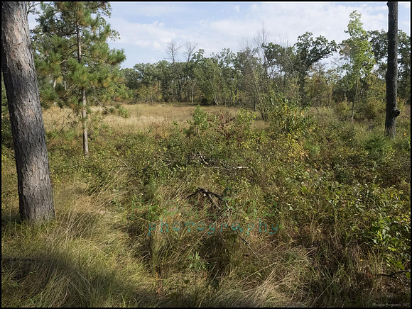 P9220161G_web