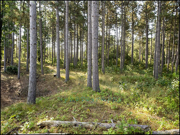 P9220163I_web