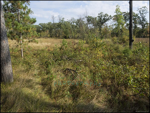P9220162H_web