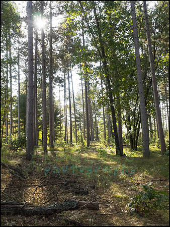 P9220166L_web