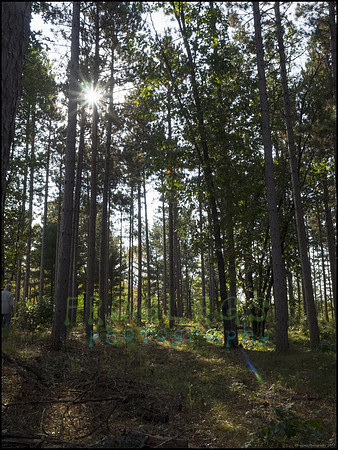 P9220167M_web