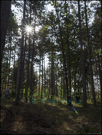 P9220168N_web