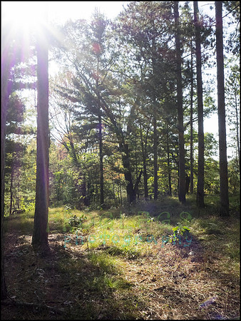 P9220170P_web