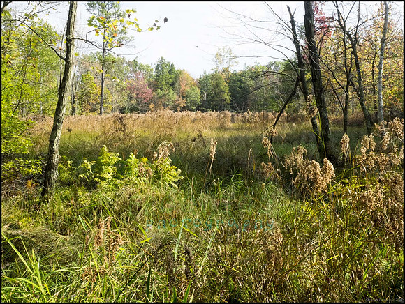 P9220182G_web