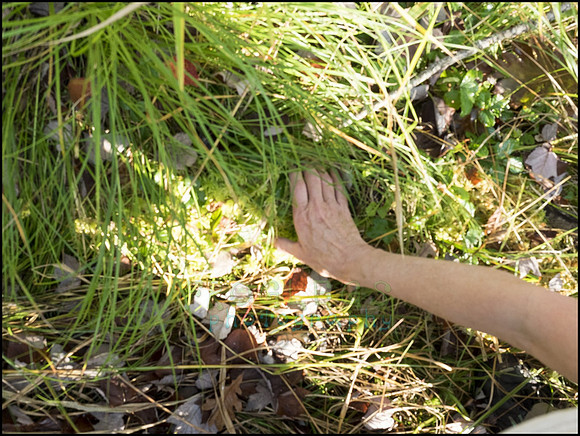 P9220183H_web