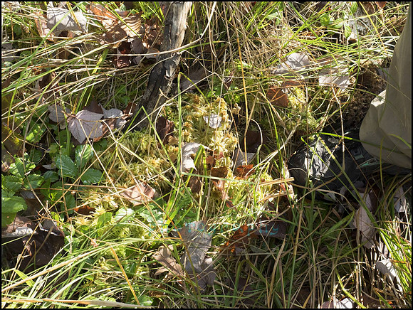 P9220184I_web