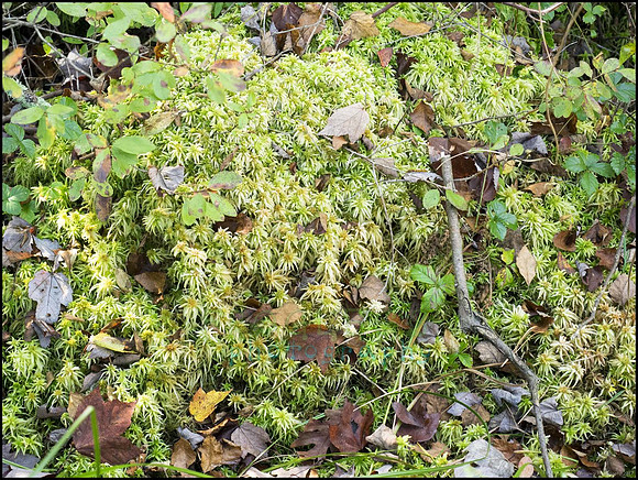 P9220186K_web