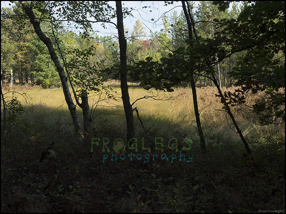 P9220189M_web