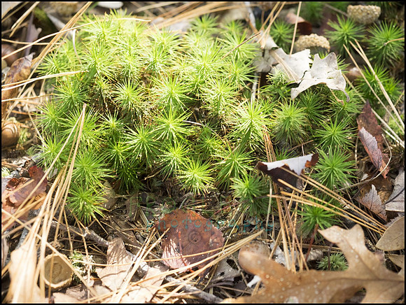 P9220192O_web