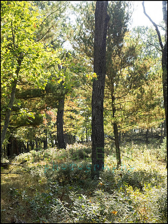 P9220194Q_web