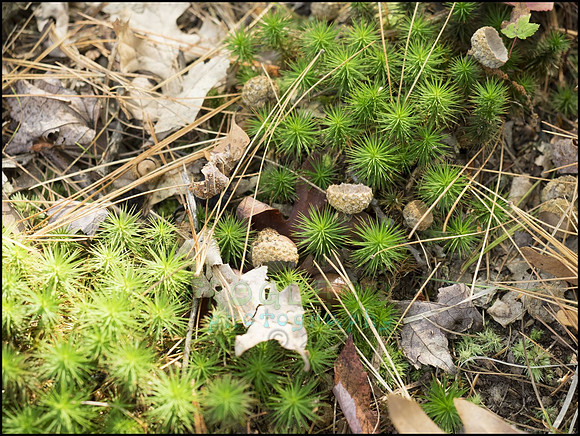 P9220193P_web
