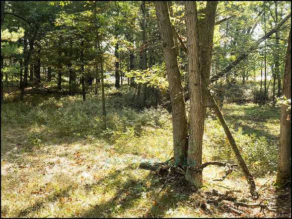 P9220198R_web