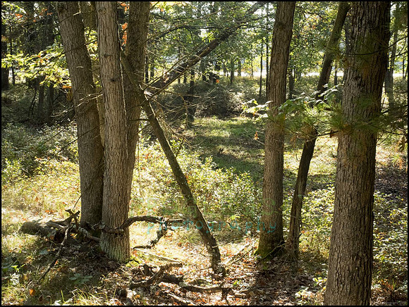 P9220199S_web