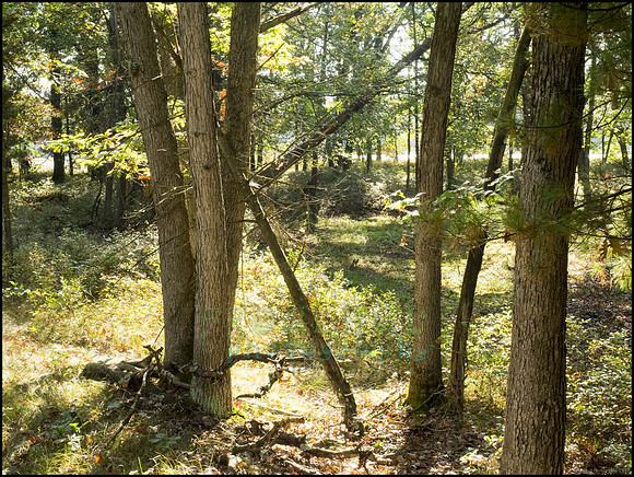 P9220200T_web