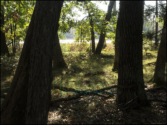 P9220204A_web