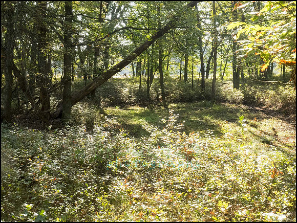 P9220203U_web
