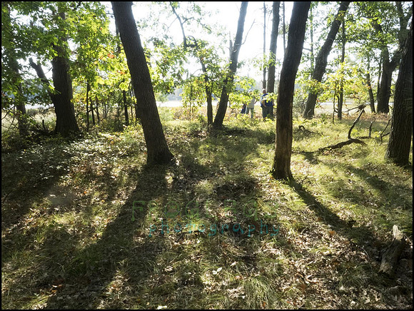 P9220206C_web
