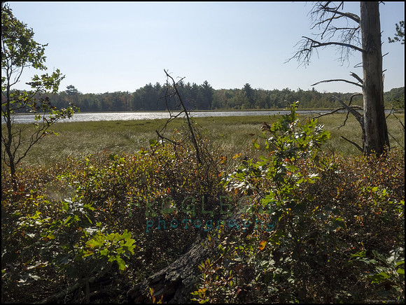 P9220207D_web