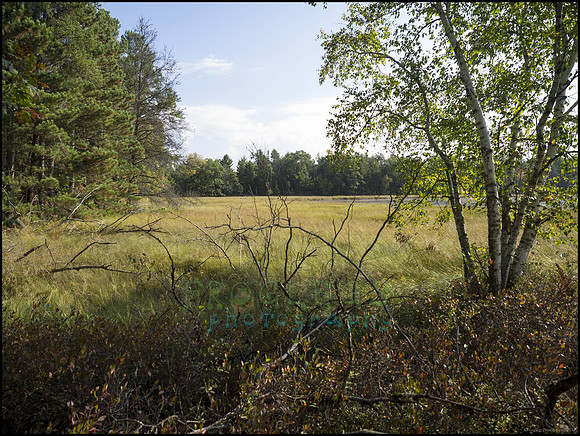 P9220214K_web