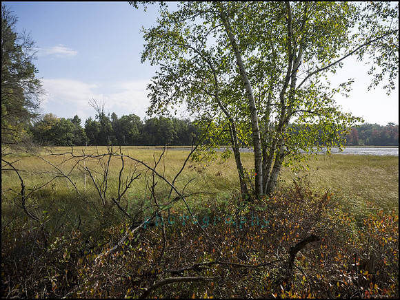 P9220217M_web