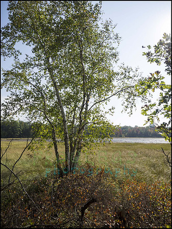 P9220216L_web