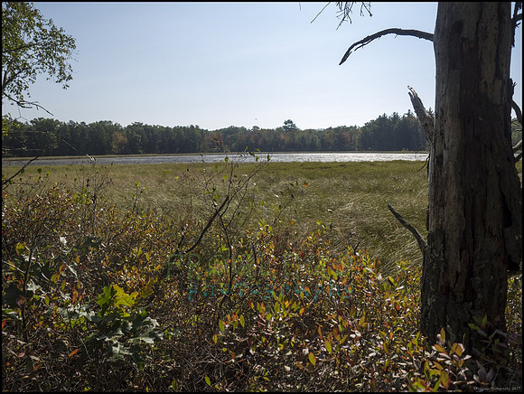 P9220218N_web