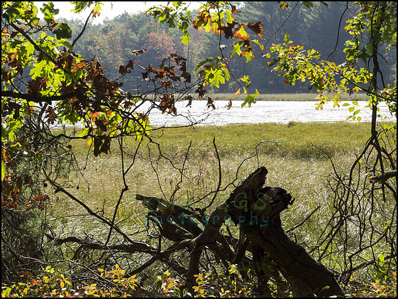 P9220221P_web