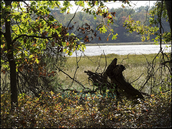 P9220223R_web