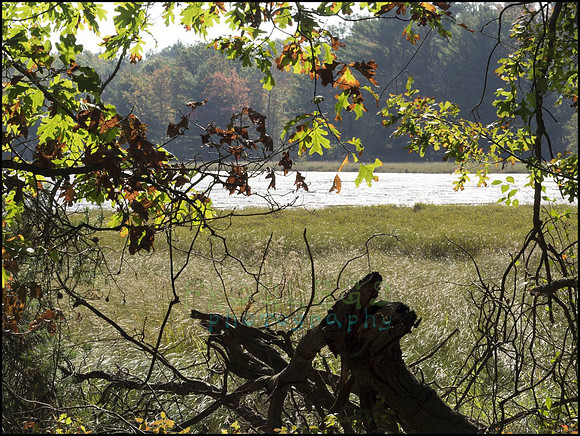 P9220222Q_web