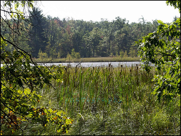 P9220224S_web