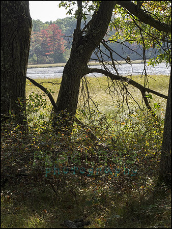 P9220227U_web