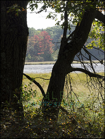 P9220225T_web