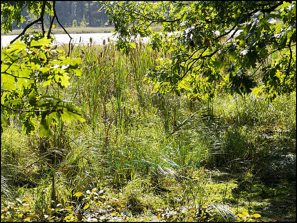 P9220228V_web