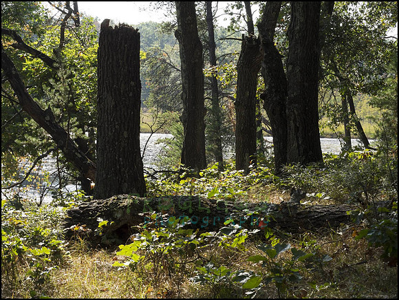 P9220231W_web