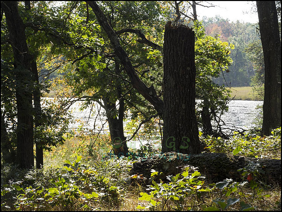 P9220232A_web