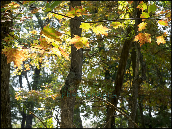 P9220235D_web