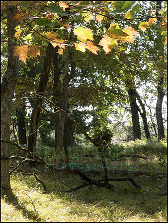 P9220236E_web