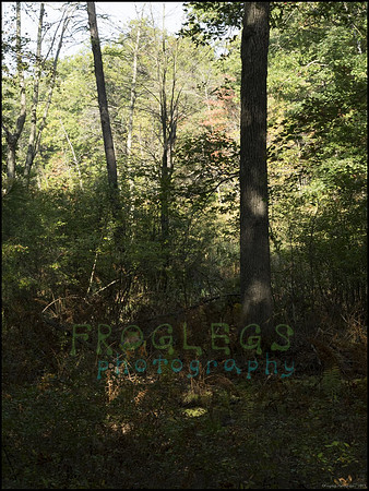 P9220237F_web