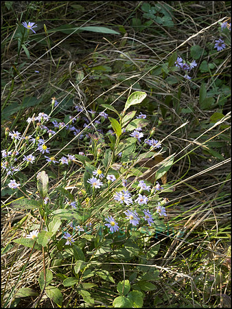 P9220239H_web