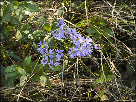 P9220240I_web