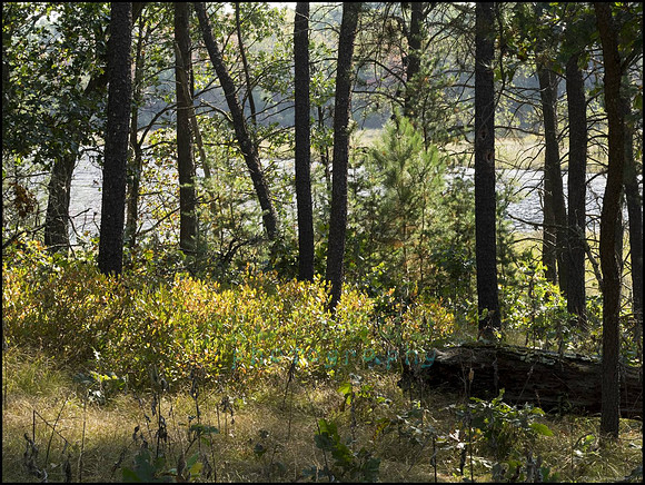 P9220241J_web