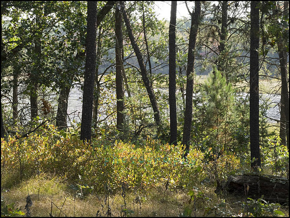 P9220242K_web