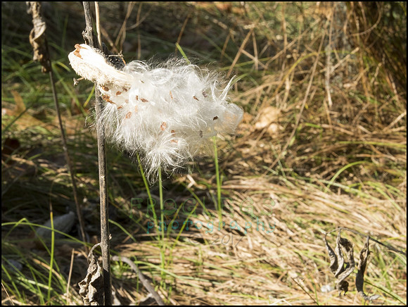 P9220244L_web