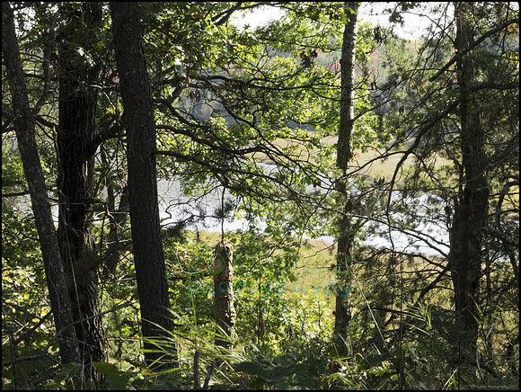 P9220247N_web