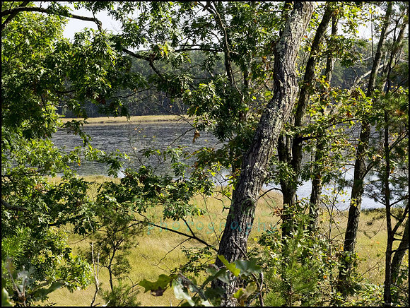 P9220248O_web
