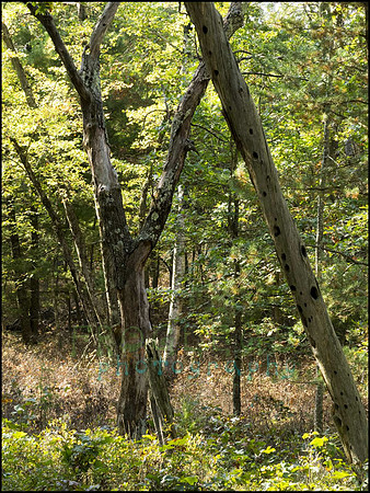 P9220252A_web