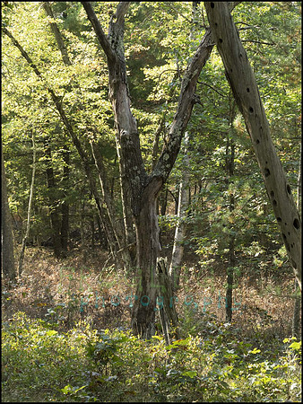 P9220253B_web