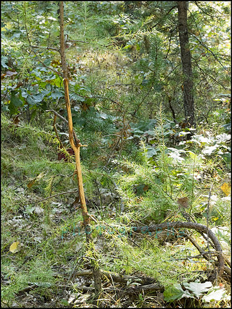 P9220254C_web