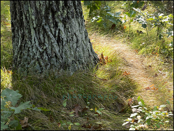 P9220258F_web